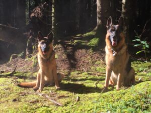 Amici a quattro zampe - trekking con bambini e cani